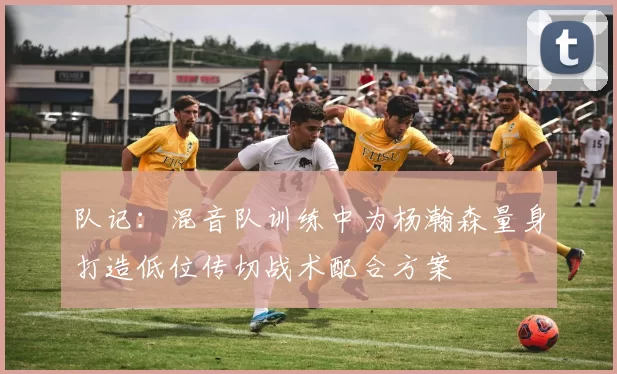 队记：混音队训练中为杨瀚森量身打造低位传切战术配合方案